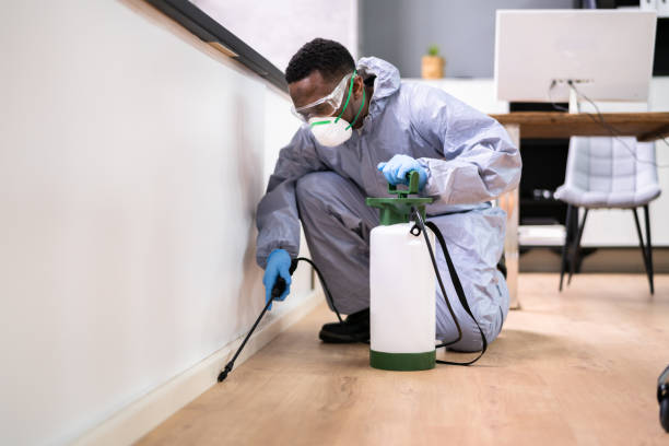 Best Residential Pest Control  in Germantown Hls, IL